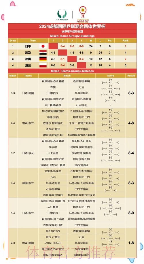 世界杯官方比分解析与赛果深度解读 世界杯官方比分解析与赛果深度解读